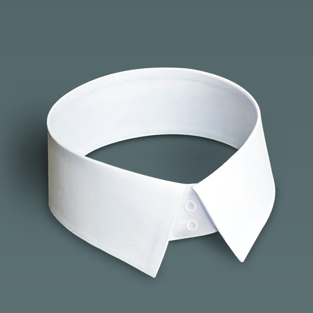 Portfolio Image 1